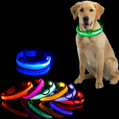 Collar con luz LED para perros