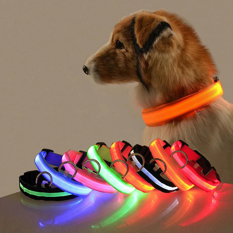 Collar con luz LED para perros