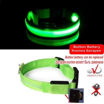 Collar con luz LED para perros