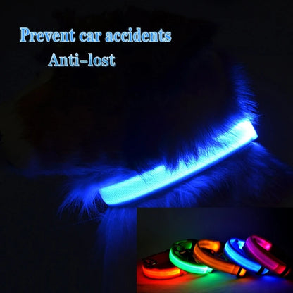 Collar con luz LED para perros